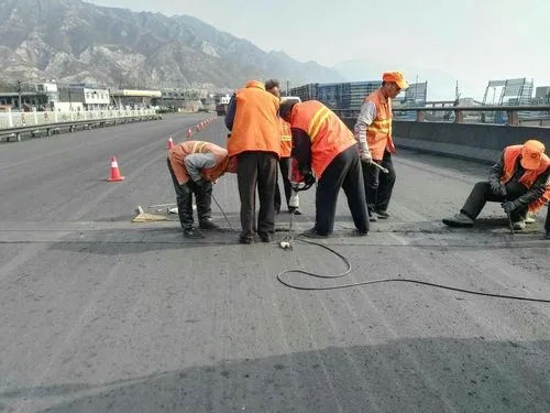 龙川道路桥梁病害治理